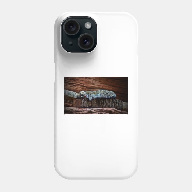 Black Footed Cat Phone Case by Cynthia48