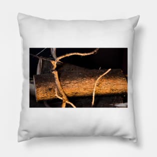 4212015 firewood Pillow