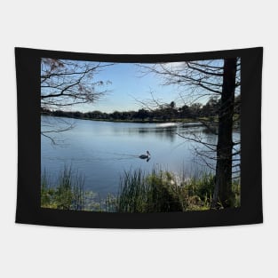 White Pelican on Lake Tapestry