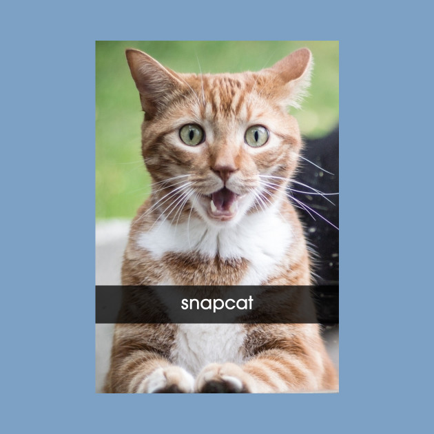 snapcat t shirt snapchat kids t shirt teepublic