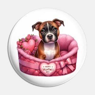 Valentine Staffordshire Bull Terrier Dog in Bed Pin