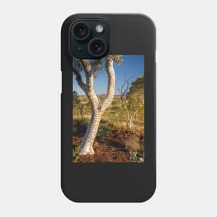 Karijini National Park, Western Australia Phone Case