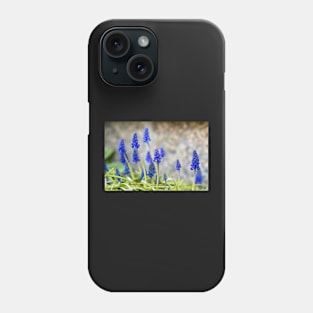 Grape hyacinths flowers in front of stone wall Phone Case