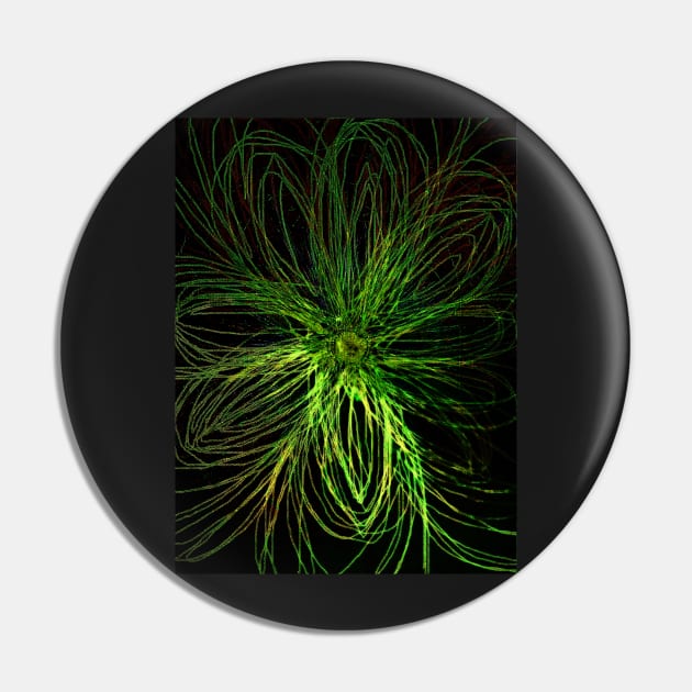 A flower that glows in the dark Pin by Marsal