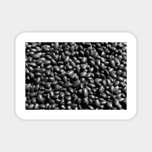 Black turtle beans Magnet