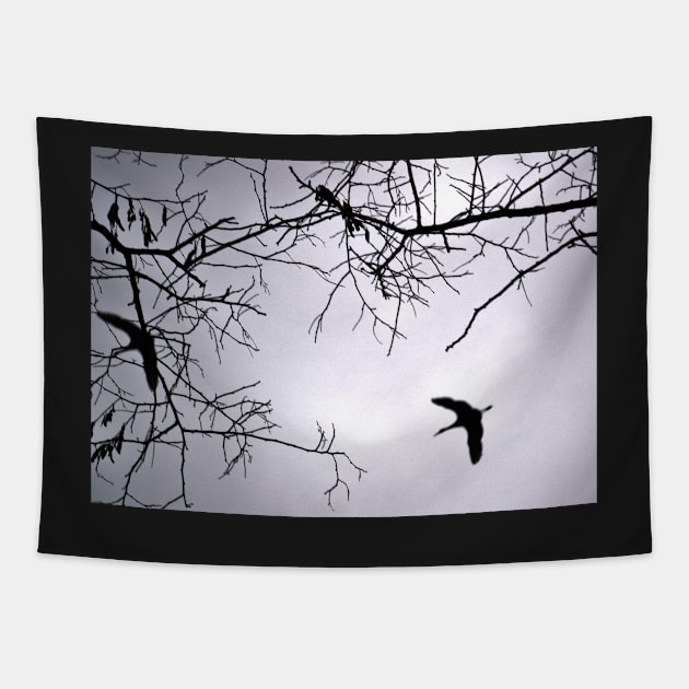 Flying Backlit Sandhill Crane (Grus canadensis) Tapestry by 1Redbublppasswo