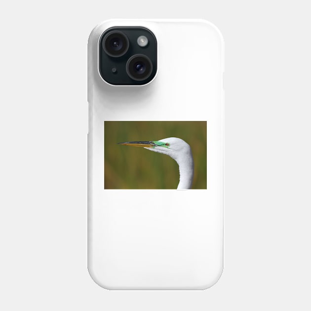 Great Egret Phone Case by Jim Cumming