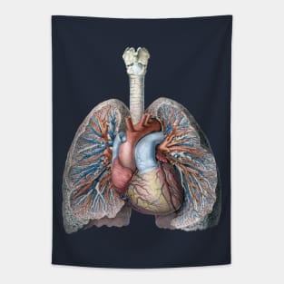 Vintage Science and Human Anatomy with Lungs, Heart, Organs and Blood Vessels Tapestry