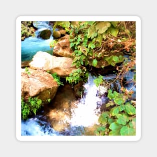 An island of paradise. river, flow, water, turquoise, navy, blue, vegetation, paradise, island, summer, beach, adventure, foam, Magnet