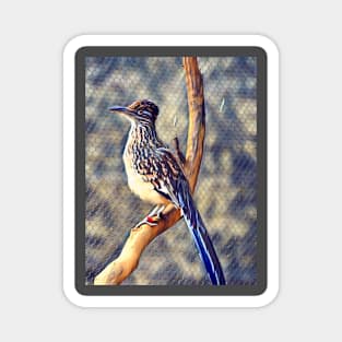 Greater Roadrunner Magnet