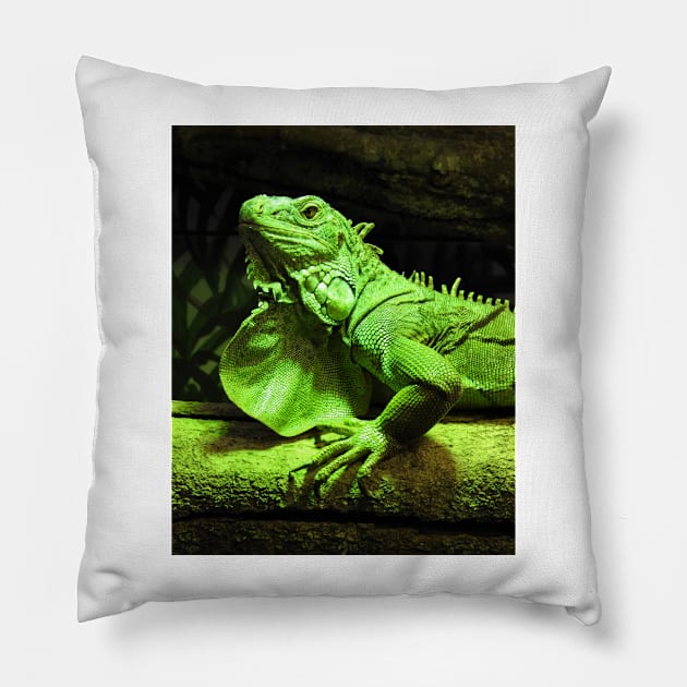 Green Iguana Pillow by kirstybush