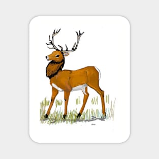 Stately Hart Deer Magnet