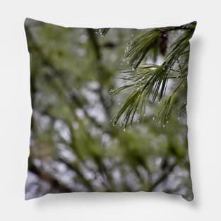 Pine Branch Border Pillow