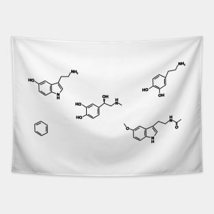 Organic Chemistry Molecule Pack Tapestry