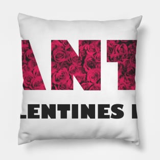 Anti Valentines Day Pillow