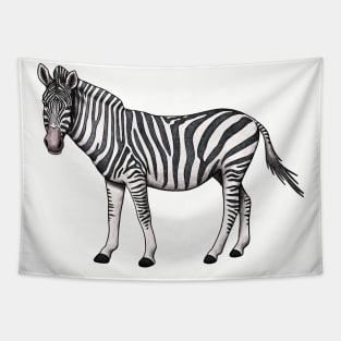 Zebra Tapestry