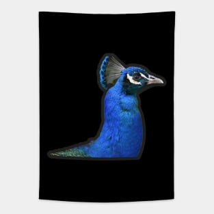 Peafowl Tapestry