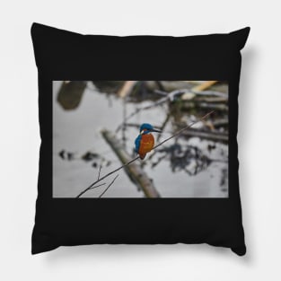 Kingfisher Pillow