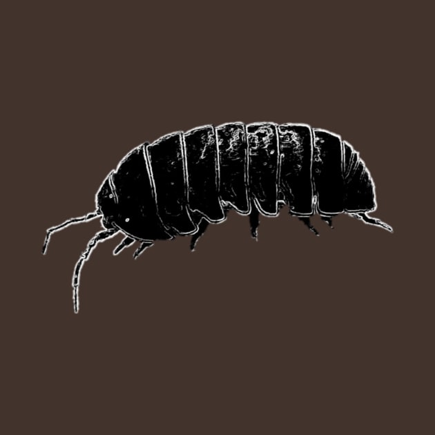 Pillbug by Pheedphil