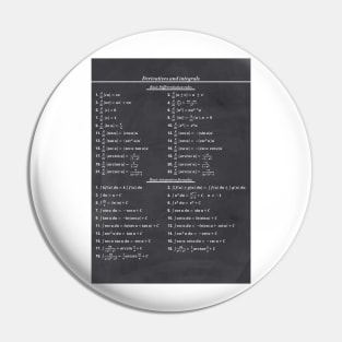 Derivatives And Integrals Pin