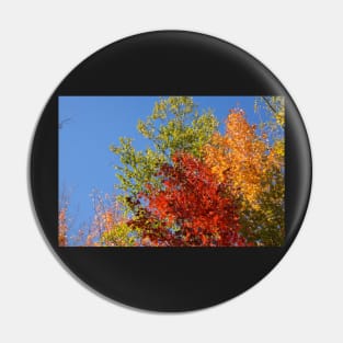 Foliage in Autumn Pin