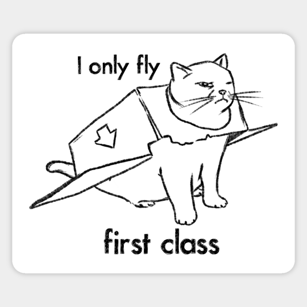 Funny Cat Drawing First Class Kitty Cat In Box Funny Cats Sticker Teepublic