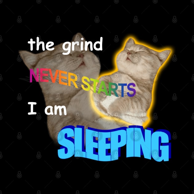 The Grind Never Starts I Am Sleeping Meme by swankyswamprat