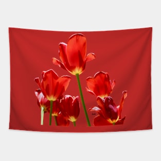 Tulips red Tapestry