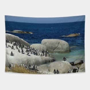 Penguins in South Africa Tapestry