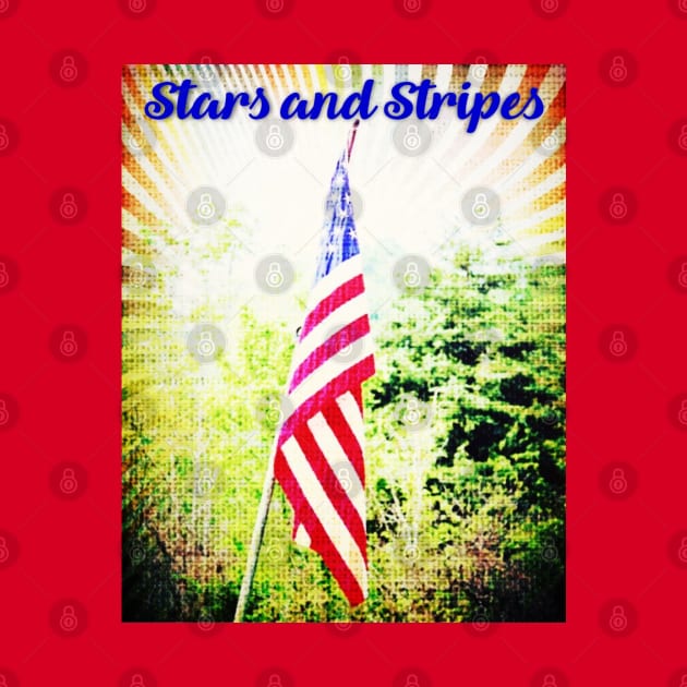 Stars and Stripes USA Flag by Shell Photo & Design