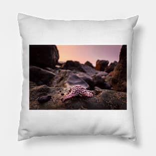 Red Starfish on Rocks Pillow