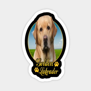 Golden Labrador Magnet