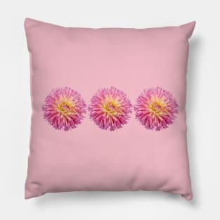 Three Pink Dahlias Floral Photo Pillow