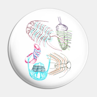 Ordovician Era Trilobites Pin