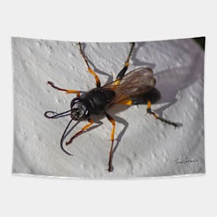 Wasp Tapestry