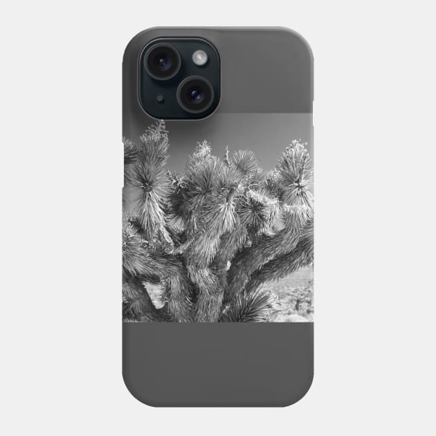 Joshua Tree Phone Case by Rob Johnson Photography