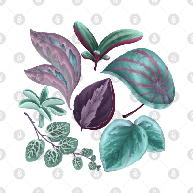 Peperomia Leaves by Khotekmei