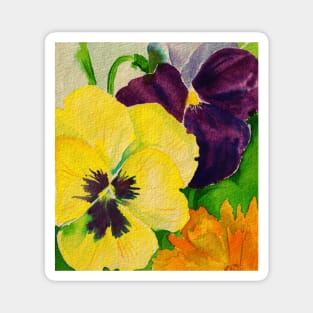 Pansies Magnet