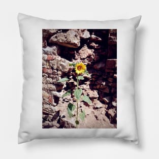 Sunflower in front of castle wall Pillow