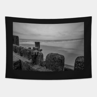 Close up of wooden sea defences protecting against coastal erosion Tapestry