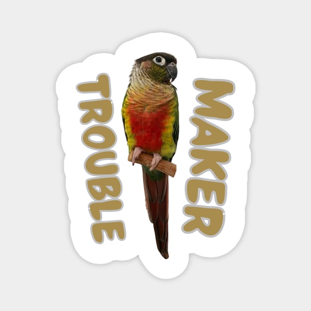 Trouble Maker Conure Bird for men and women Magnet by TatianaLG