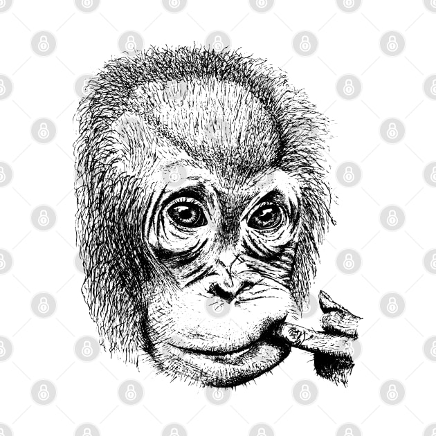 Orangutan Youth Face by bens black line art