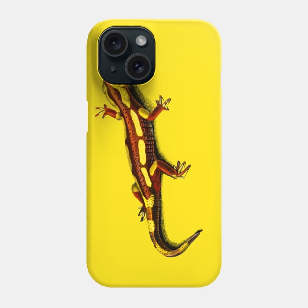 Vintage fire Salamander amphibian Phone Case by Phantom Troupe