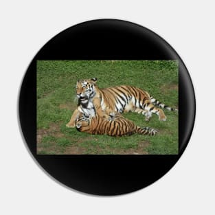 Tiger Mom and Cub Pin