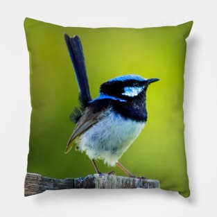 Australian Superb Fairy-Wren Pillow