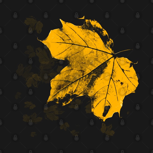 Golden Maple Leaf Pattern on Black Background by ibadishi