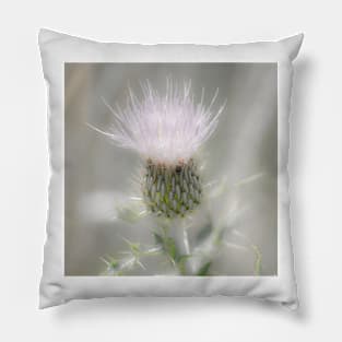 Glimmering Thistle Pillow