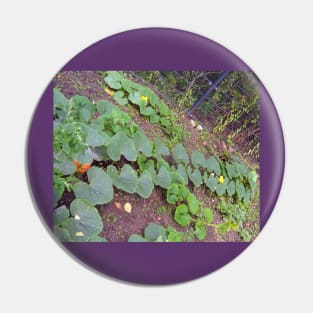 Pumpkin Blossom Foliage & Fruit Pin