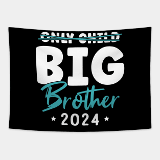 Only Child Big Brother 2024 Tapestry