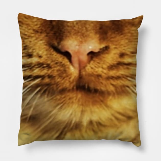 Cat face mask funny design - cat mouth face mask - animal mouth funny face mask Pillow by jack22